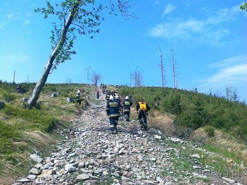 Po¿ar poszycia le¶nego